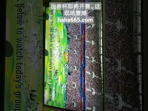 世界杯,资讯,2023世界杯,世界杯,2023世界杯,世界杯赛程,世界杯热门球队,足球世界杯